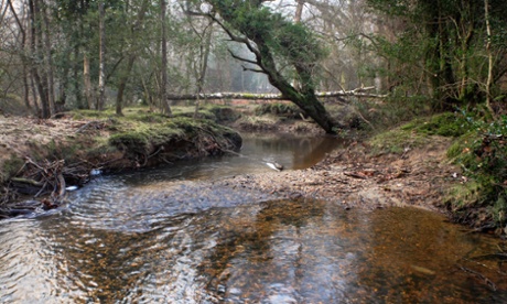 The Highland Water, rushing on its way through the New Forest, Hampshire.