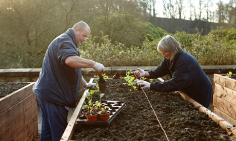 Gardening Leave, one of the charities for this year’s Guardian and Observer christmas appeal, uses horticultural therapy to support troubled veterans on their journey to good health. 