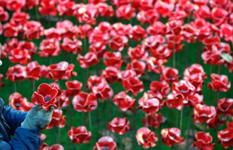 A volunteer removes the ceramic poppies from the Blood Swept Lands and Seas of Red installation at the Tower of London.
