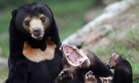 Europeans still feel bearish about the economy.