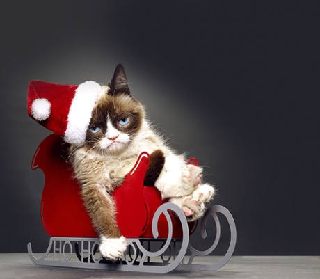 Grumpy Cat owes her permanent frown to a medical condition.