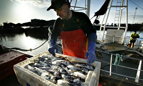The Catchbox coop aims to reduce waste and protect the livelihoods of fishermen on the south coast.