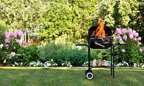 Barbecue in a garden