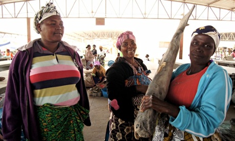 Golf, fishing and wildlife: the changing face of Angolan tourism