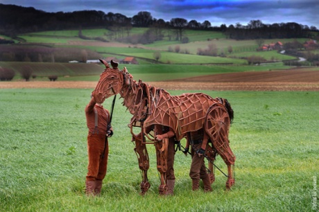 Joey in Flanders fields