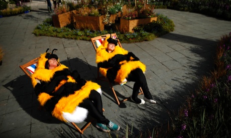 Bees