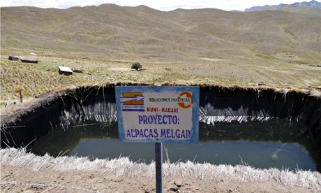 MDG : alpaca farmers in the Melgar province of Peru
