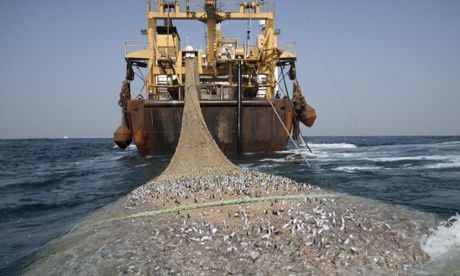 A supertrawler