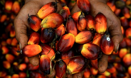 Palm oil seeds.