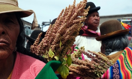 Bolivian women carry Quinoa plants on their backs. Farmers are hoping to gain from the nutritional, ecological and economic benefits of this natural food resource.
