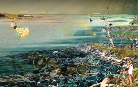 stormpprofing oysters rebuild by design