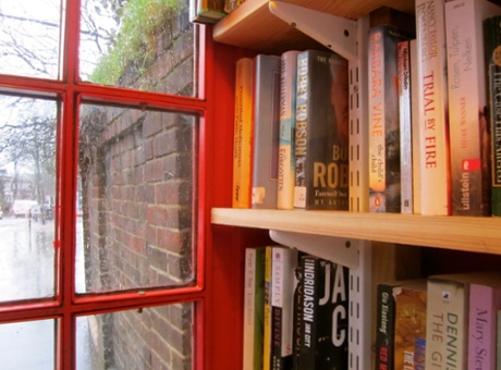 Lewisham microlibrary