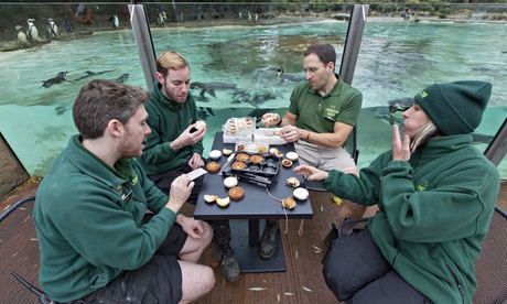 London zoo keepers try mince pies