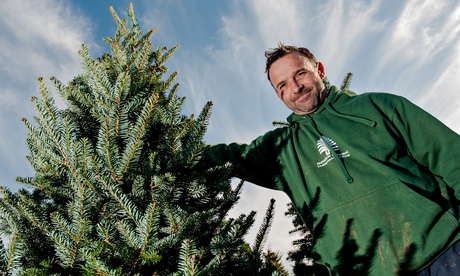christmas tree grower