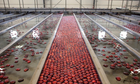 Apples cooling in the Geoexchange system