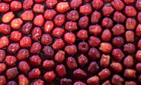 Apples cooling in the Geoexchange system