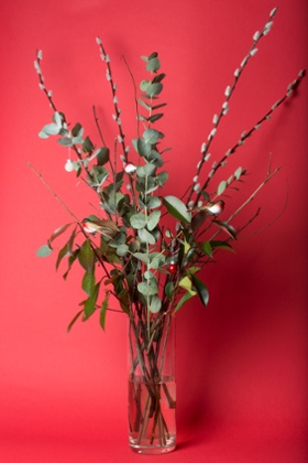 Embrace the starkness of winter branches.