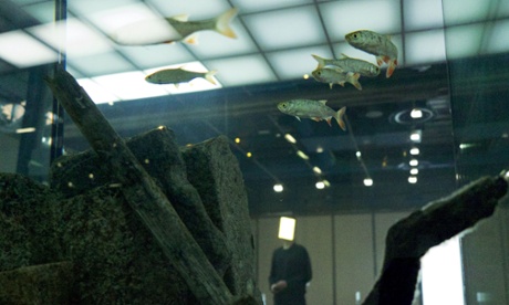 Pierre Huyghe’s work at the Centre Pompidou in Paris