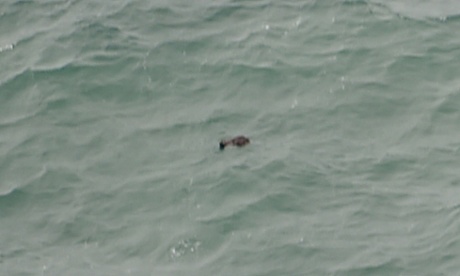 This aerial view taken from an Indonesian search and rescue aircraft over the Java Sea shows floating debris spotted in the same area as other items being investigated by Indonesian authorities as possible objects from missing AirAsia flight QZ8501 on December 30, 2014.
