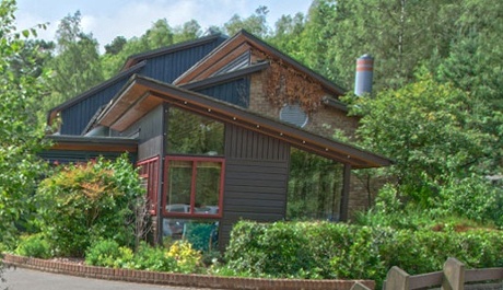 woodlea primary school