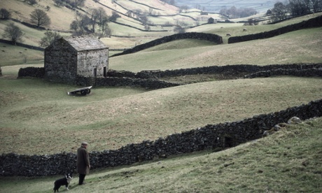 A farmer and his dog look out across the stone walls and rural countryside of Swaledale in the Yorkshire Dales, circa 1975. 