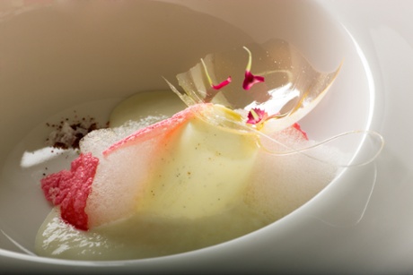 Panna Cotta with Asparagus Foam, Liquorice Air and Beet Meringue prepared by Iacopo Falai.