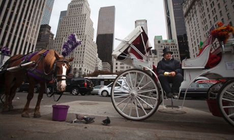 New York horse carriages 