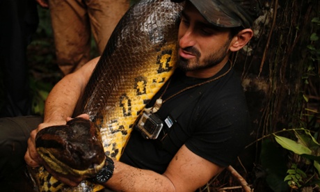 Paul Rosolie disappointed his TV dinner companion.