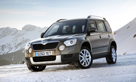 Natural environment: the Yeti feels at home on the ice.