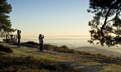 A winter's walk on the North Downs in Surrey.