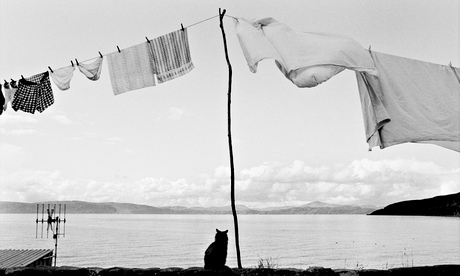 social workers hung out to dry