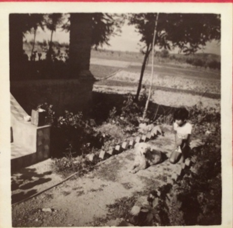 Sandeep Raina with his dog Tobby in the garden, aged 9 years old. The paddy fields can be seen behind him.