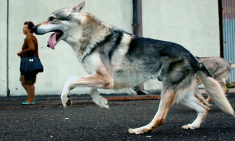 U2's Raised by Wolves interpreted by Vhils