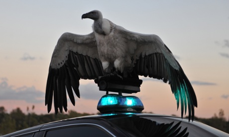 River of Fundament by Matthew Barney