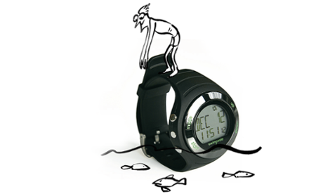 The motivational Swimovate PoolMateLive