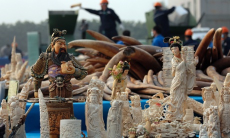 Workers, background, destroy confiscated ivory in Dongguan, southern Guangdong province, China, Monday, Jan. 6, 2014.