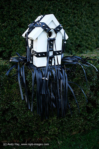 Nestboxes: Nestboxes designed by fashion designers