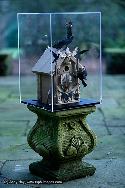 Nestboxes: Nestboxes designed by fashion designers