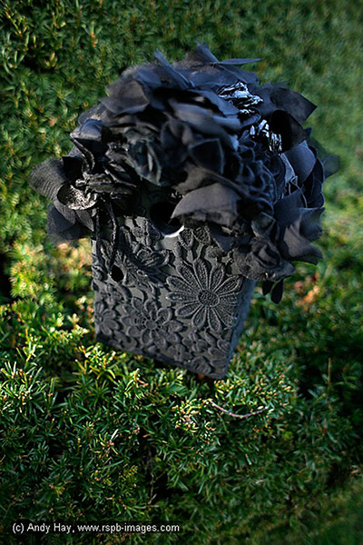 Nestboxes: Nestboxes designed by fashion designers