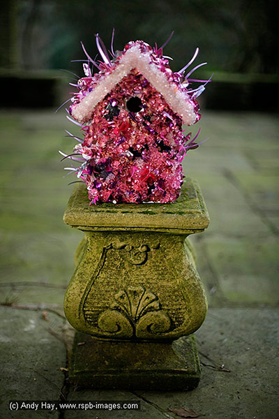 Nestboxes: Nestboxes designed by fashion designers