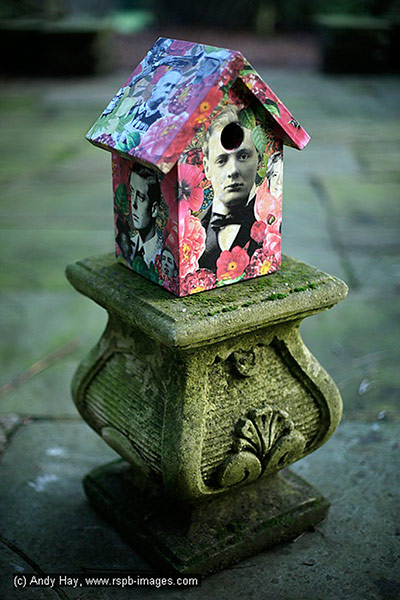 Nestboxes: Nestboxes designed by fashion designers
