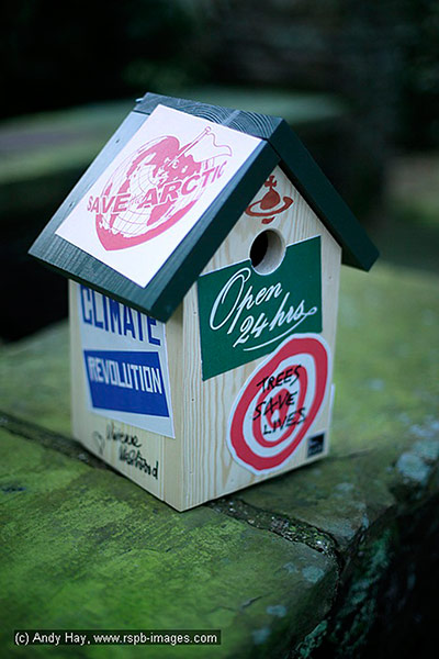 Nestboxes: Nestboxes designed by fashion designers