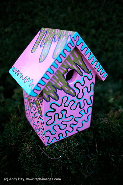 Nestboxes: Nestboxes designed by fashion designers 