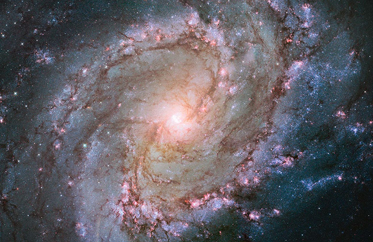 A Month in Space:  spiral galaxy Messier 83