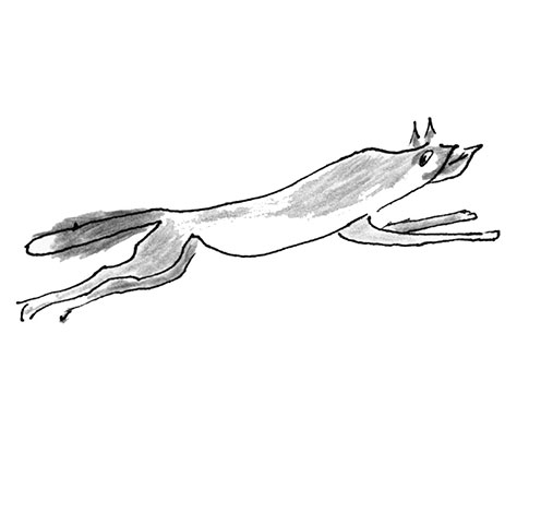 Famous Foxes: famousfoxes-blythe.