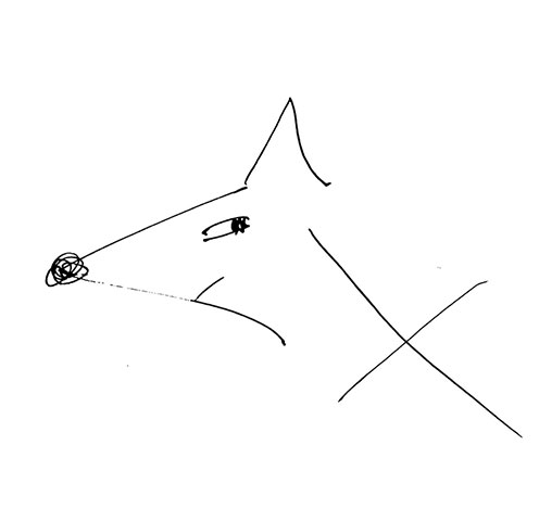 Famous Foxes: famousfoxes-duffy.