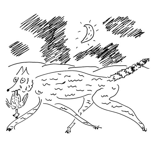 Famous Foxes: famousfoxes-motion.