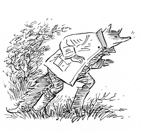 Famous Foxes: famousfoxes-simmonds