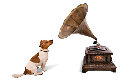 Gramophone with dog
