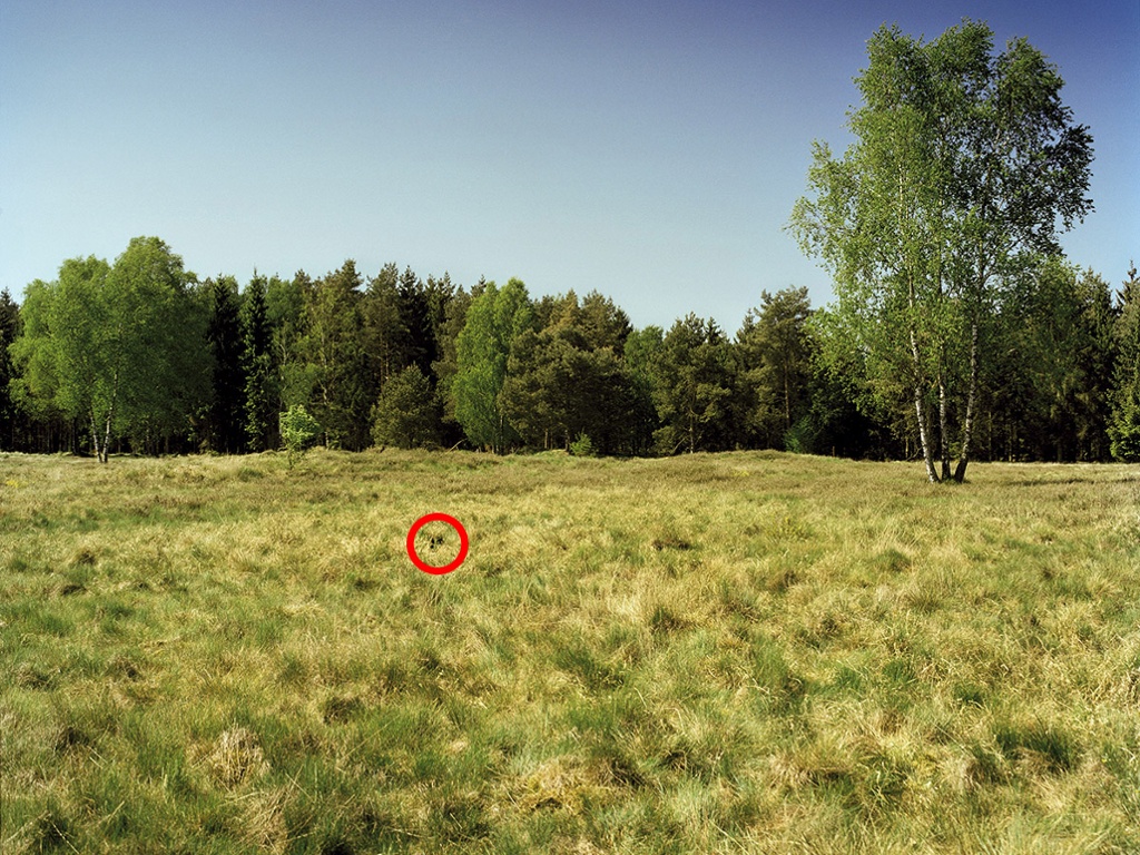 Spot the sniper in pictures Art and design The Guardian Spot the sniper in pictures Art and design The Guardian